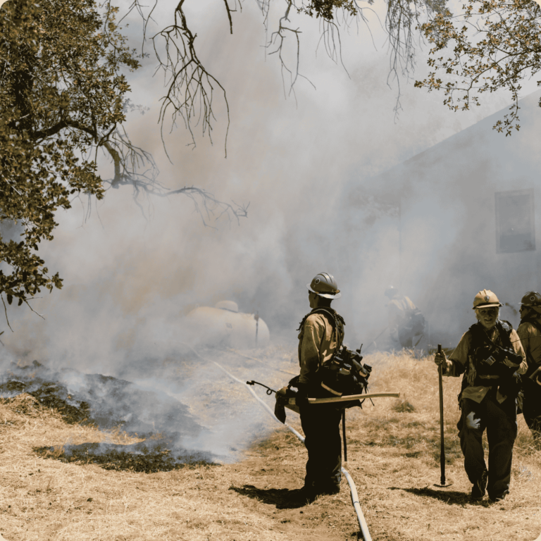 Bomberos forestales