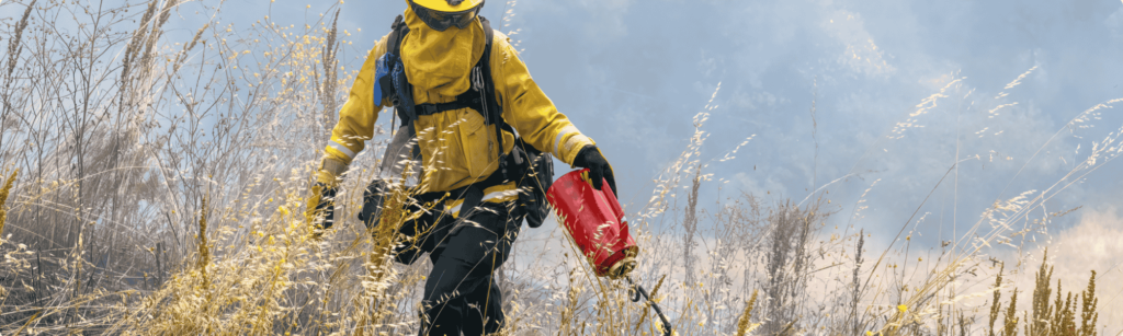 Bomberos forestales objetivos